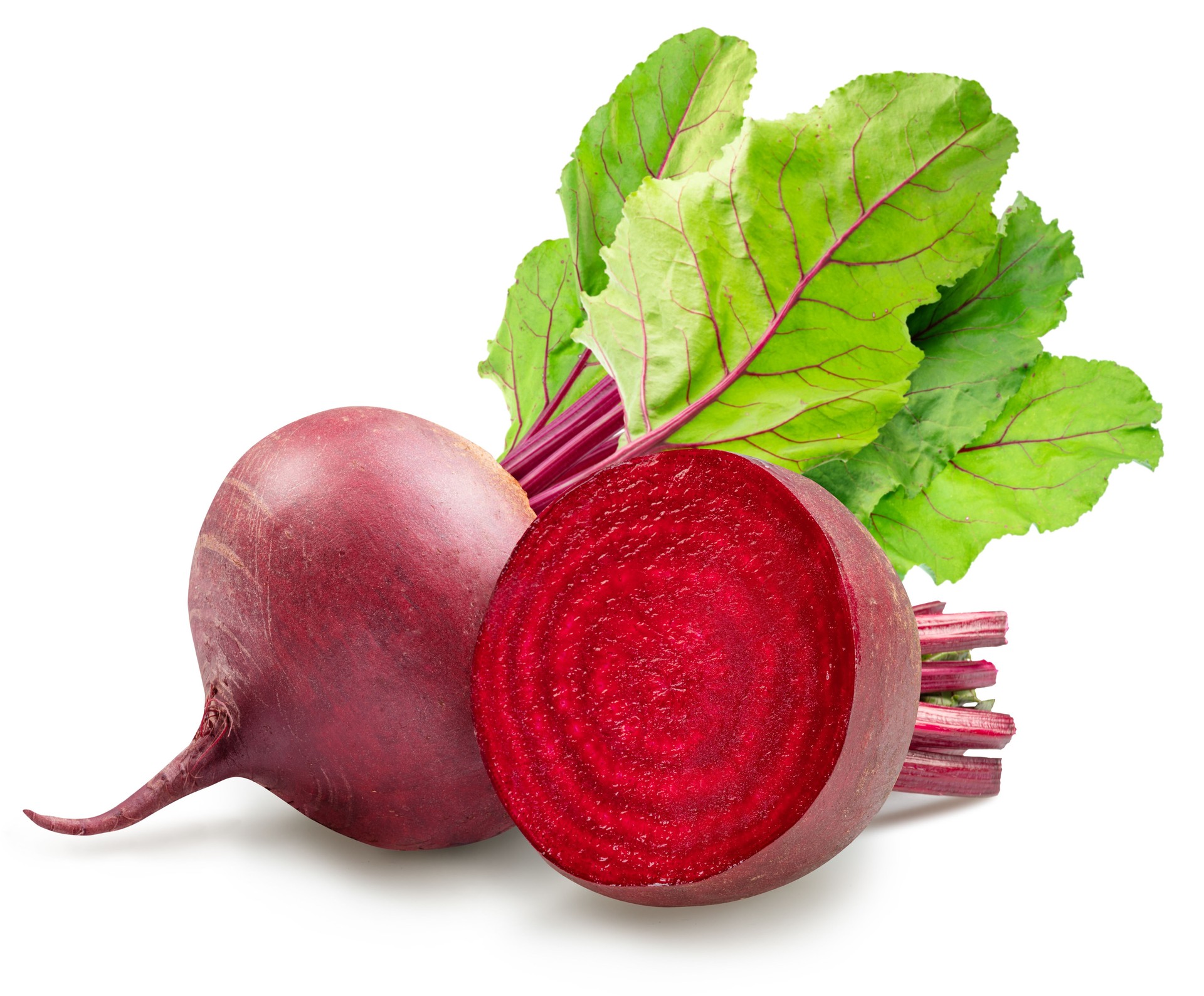 Red beetroot on stem with green leaves and beet cross section isolated on white background.